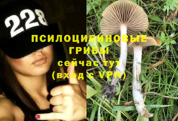 первитин Балахна