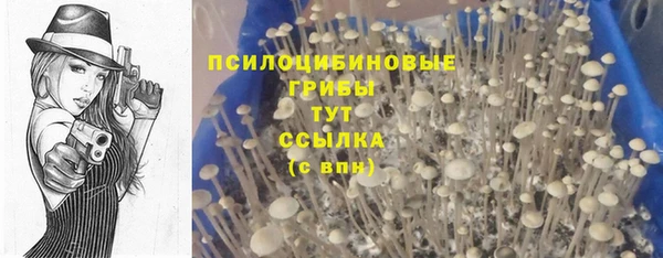 альфа пвп Баксан