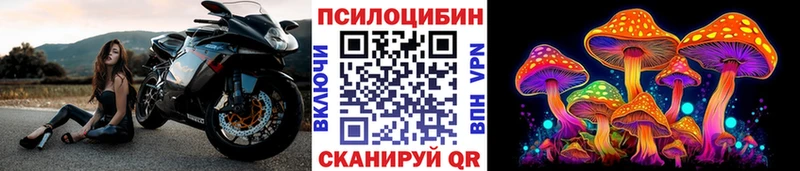 Псилоцибиновые грибы MAGIC MUSHROOMS  Купить где  Сосновый Бор 