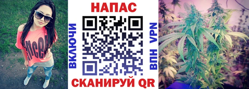 Бошки марихуана индика  Купить где  Сосновый Бор 